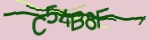 Mã bảo mật